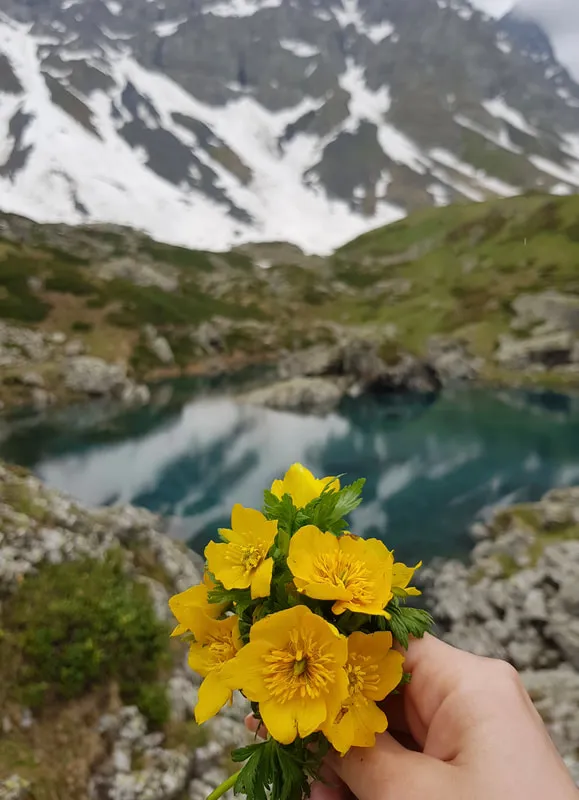 Flowers And Abudelauri Lake Khevsureti – 3 days tour from Kutaisi