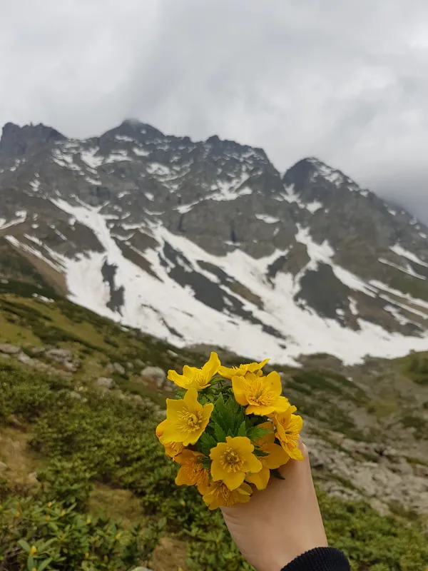 Flowers And Summit In Khevsureti Khevsureti – 3 days tour from Kutaisi