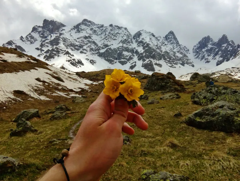 Flowers At Abudelauri Lake Khevsureti Khevsureti – 3 days tour from Kutaisi