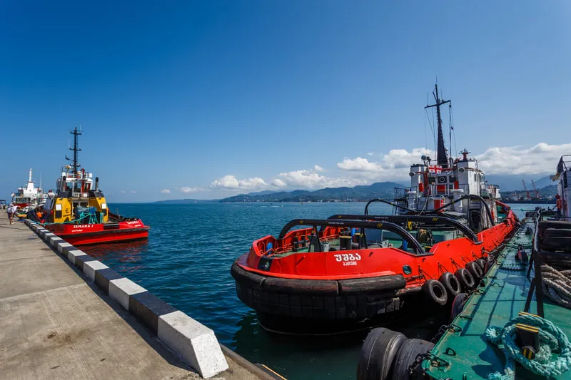 Ships In Batumi 1 Walking Tour in Batumi – Things to do in Batumi